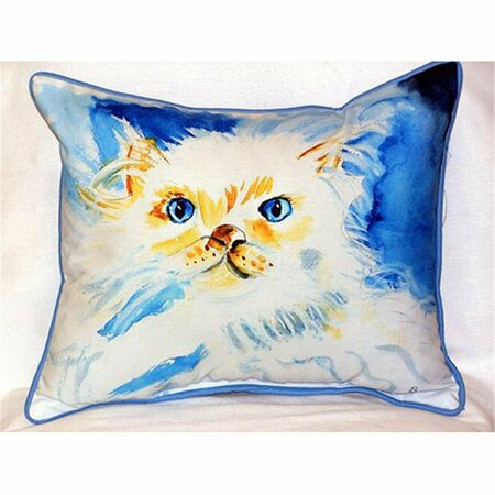 JENSENDISTRIBUTIONSERVICES Junior The Cat Large Indoor-Outdoor Pillow 16 in. x 20 in. MI48783